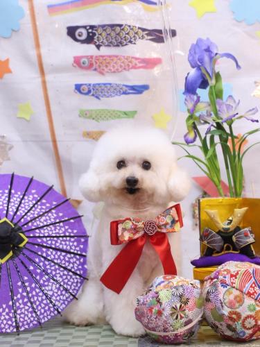 20240515チュッチュくん